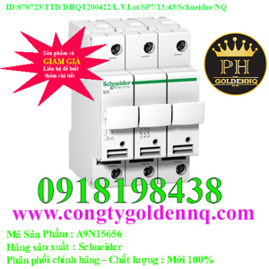 Cầu chì cách ly Schneider A9N15656