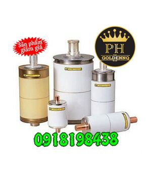 Cầu chì LS LFL-20G-100C