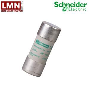 Cầu chì ống DF2FA04