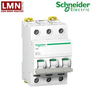 Cầu dao cách ly Schneider A9S65391