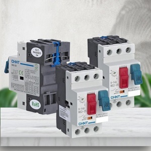 Cầu dao Chint NS2-25 - 4-6.3A