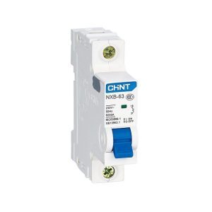 Cầu dao MCB Chint NXB-125 - 100A 10kA 1P