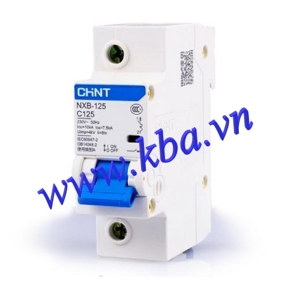 Cầu dao MCB Chint NXB-125 - 100A 10kA 1P