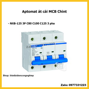 Cầu dao Chint NXB-125 3P C100