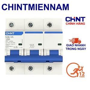 Cầu dao Chint NXB-125 3P C125