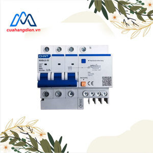 Cầu dao chồng rò/quá tải NXBLE-32 3P+N C10 30mA 6kA(R)