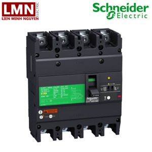 Cầu dao ELCB Schneider EZCV250H4160