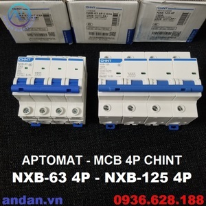 Cầu dao MCB Chint NXB-125 - 100A 10kA 4P