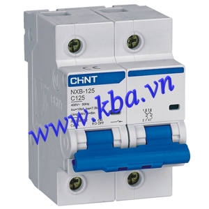 Cầu dao MCB Chint NXB-125 - 100A 10kA 2P