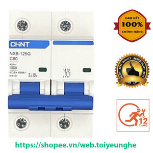 Cầu dao MCB Chint NXB-125 - 125A 10kA 2P