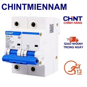 Cầu dao MCB Chint NXB-125 - 125A 10kA 2P