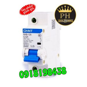 Cầu dao MCB Chint NXB-125 - 80A 10kA 1P