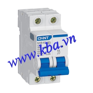 Cầu dao MCB Chint NXB-63 - 10A 6kA 2P