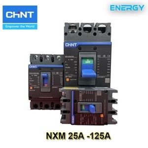 Cầu dao MCB Chint NXM-125S/3300-125, 25kA, 3P