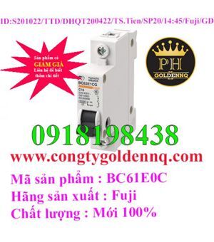 Cầu dao MCB Fuji BC61E0C 40A 10kA 1P