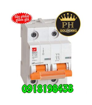 Cầu dao MCB LS BKH - 100A 10kA 2P