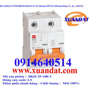 Cầu dao MCB LS BKH - 125A 10kA 2P