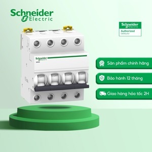 Cầu dao MCB Schneider A9K24420