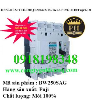 Cầu dao MCCB Fuji BW250SAG - 250A 85kA 4P