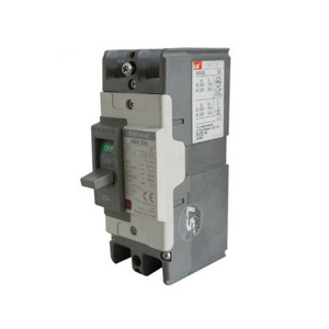 Cầu dao MCCB LS ABN62c - 60A 30kA 2P