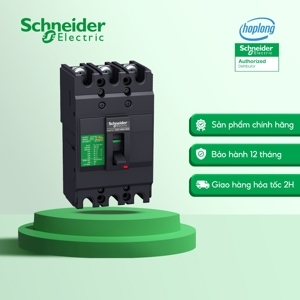 Cầu dao MCCB Schneider EZC100B3020