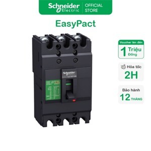 Cầu dao MCCB Schneider EZC100F3060