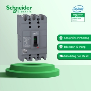 Cầu dao MCCB Schneider EZC100F3015