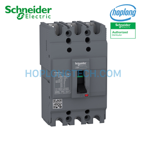 Cầu dao MCCB Schneider EZC100H3080