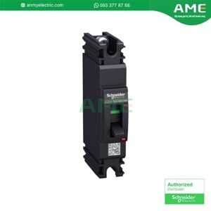 Cầu dao MCCB Schneider EZC100H1080