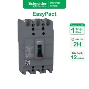 Cầu dao MCCB Schneider EZC100H3080