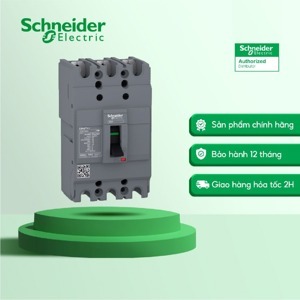 Cầu dao MCCB Schneider EZC100N3060