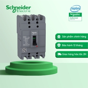 Cầu dao MCCB Schneider EZC100N3020