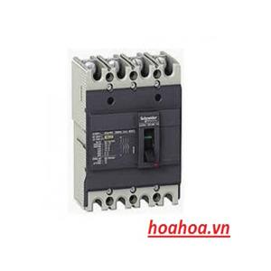 Cầu dao Schneider EZC100H4020