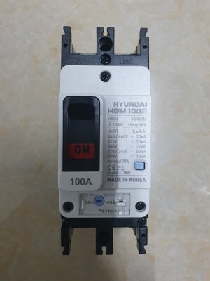 Cầu dao tự động (aptomat) MCCB Hyundai HGM100S-F 2P 100A