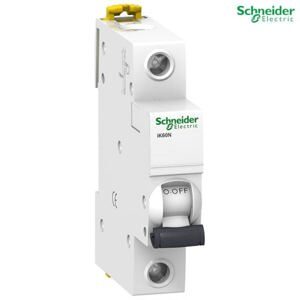 Cầu dao tự động Aptomat Schneider A9K27106