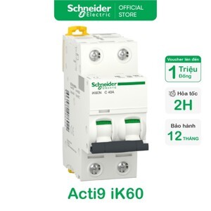 Cầu dao tự động Aptomat Schneider A9K24263