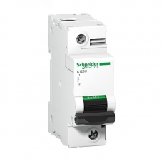 Cầu dao tự động Schneider A9N18445