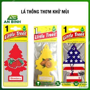 Cây thông thơm Little trees