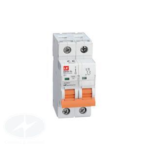CB tép (MCB) BKN-b-2P-10A,10KA