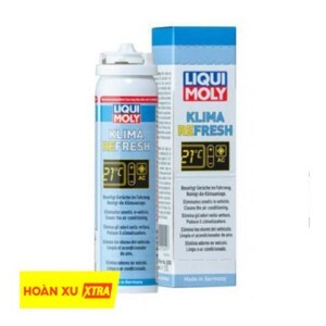 Chai xịt khử mùi và khử trùng máy lạnh Liqui Moly 20000