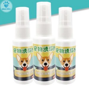 Chai Xịt Vệ Sinh Đúng Chỗ Pet