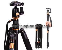Chân máy ảnh Beike Q-555