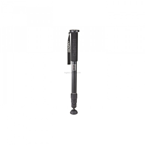 Chân máy ảnh Benro Monopod C38T