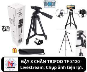 Chân máy ảnh Tripod TF-3120