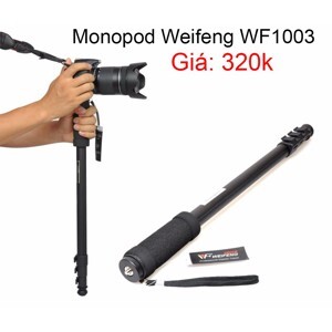 Chân monopod Wengfeng 1003