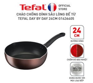 Chảo chiên sâu lòng Tefal Day By Day G1436405 - 24cm