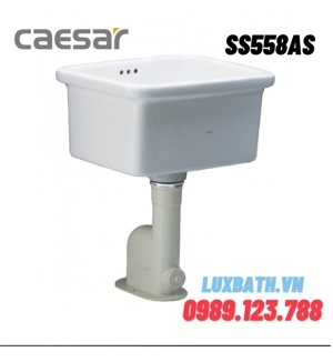 Chậu dặt xuống sàn Caesar SS558AS