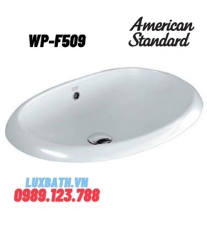 Chậu dương vành American Standard WP-F509