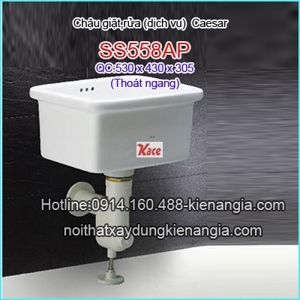 Chậu giặt Caesar SS558AP