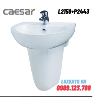 Chậu lavabo Caesar L2150+P2443